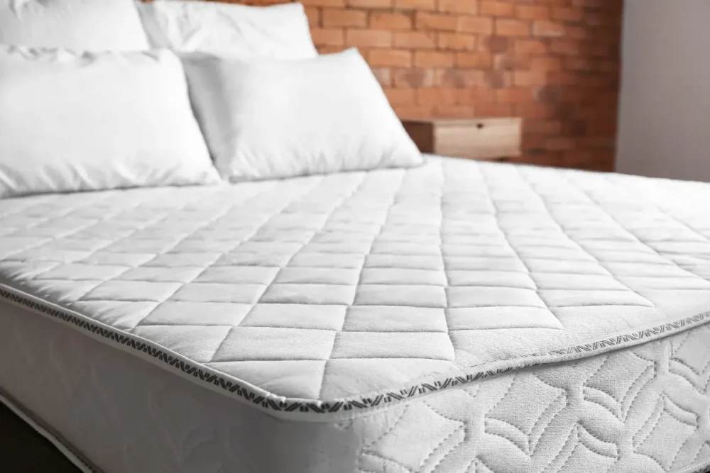 Dustin Plush Mattress